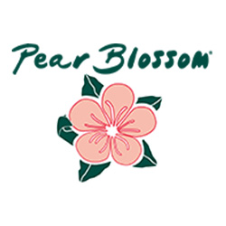 PEAR BLOSSOM 梨花