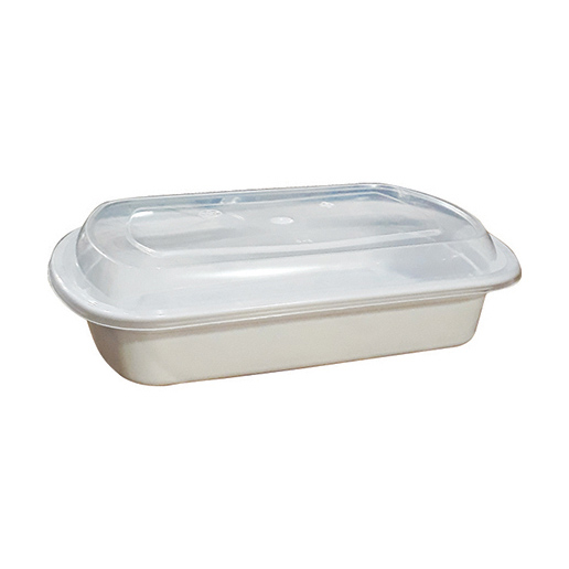 Trays W/Lid 9